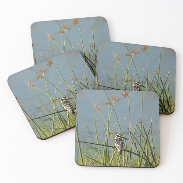 Item preview, Pied Kingfisher designed and sold by quentinjlang.