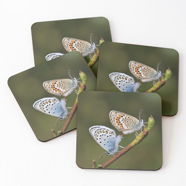 Item preview, Silver-studded blue butterflies of Ashdown Forest designed and sold by Christian Moss.