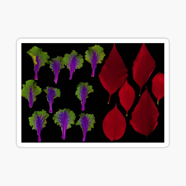 Item preview, Holiday Garden 2 Dark Botanical designed and sold by LindasPhotoArt.