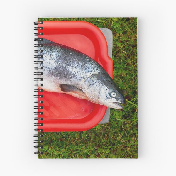 Item preview, raw salmon designed and sold by Claraveritas.