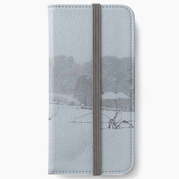 Blizzard iPhone Wallet
