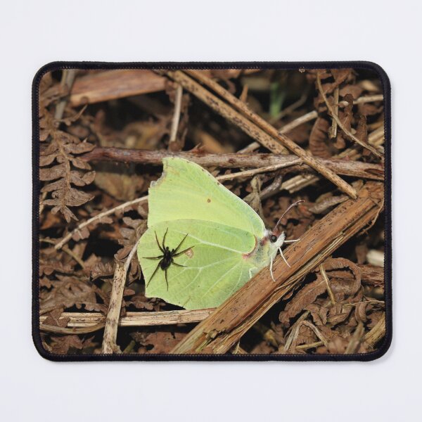 Item preview, Brimstone & passenger. designed and sold by Christian Moss.