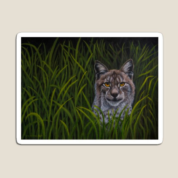 Bobcat Magnet