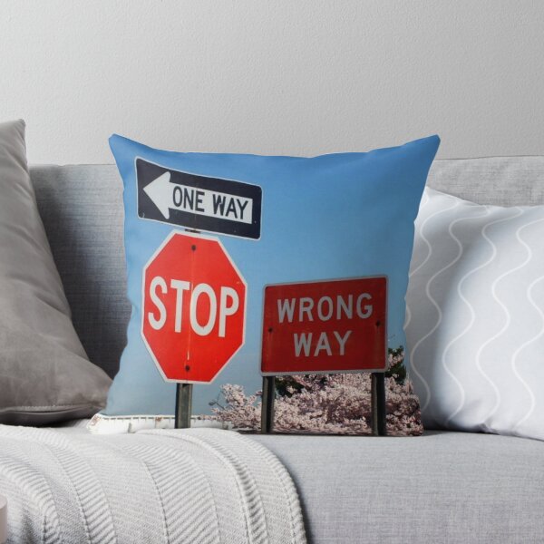 Better Not Drive Into This Road…. Throw Pillow