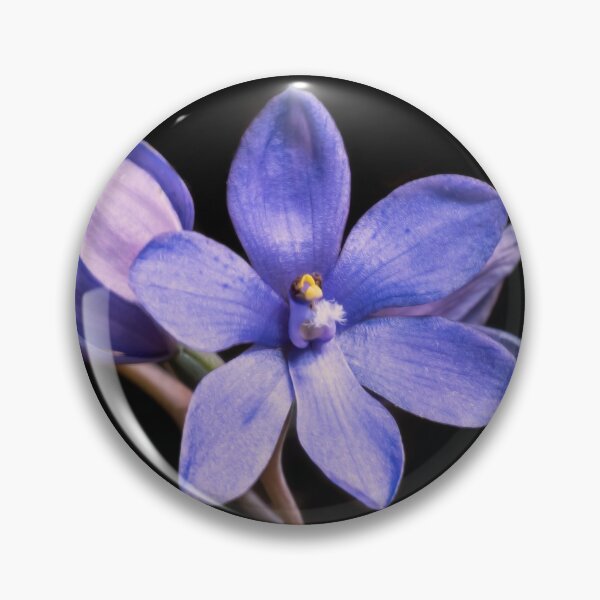 Item preview, Sun Orchid designed and sold by NaturallyArt.