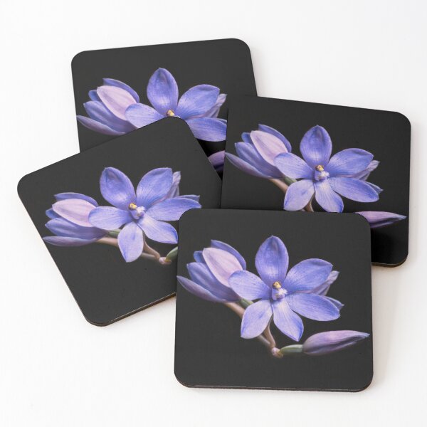 Item preview, Sun Orchid designed and sold by NaturallyArt.