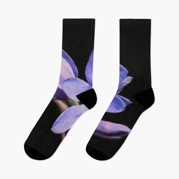 Item preview, Sun Orchid designed and sold by NaturallyArt.