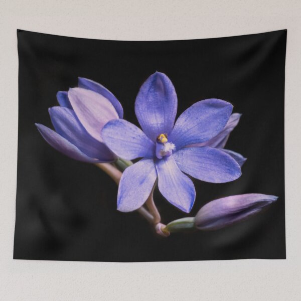 Item preview, Sun Orchid designed and sold by NaturallyArt.