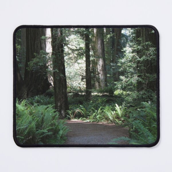 Item preview, Redwood State Park CA designed and sold by ArtofDissent.