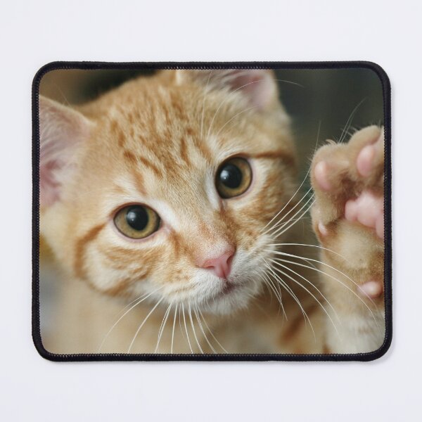 Item preview, Cute Kitten designed and sold by MEBH.