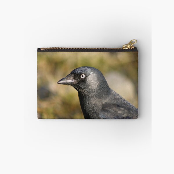 Item preview, Juvenile Jackdaw designed and sold by GreyFeatherPhot.