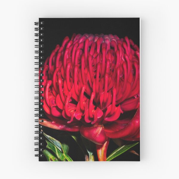 Item preview, Waratah designed and sold by NaturallyArt.