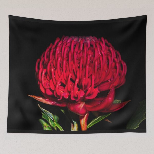 Item preview, Waratah designed and sold by NaturallyArt.