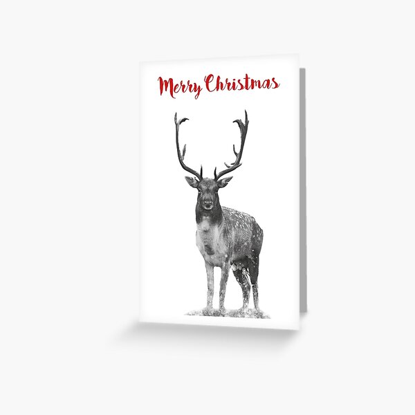 Deer Christmas card Greeting Card