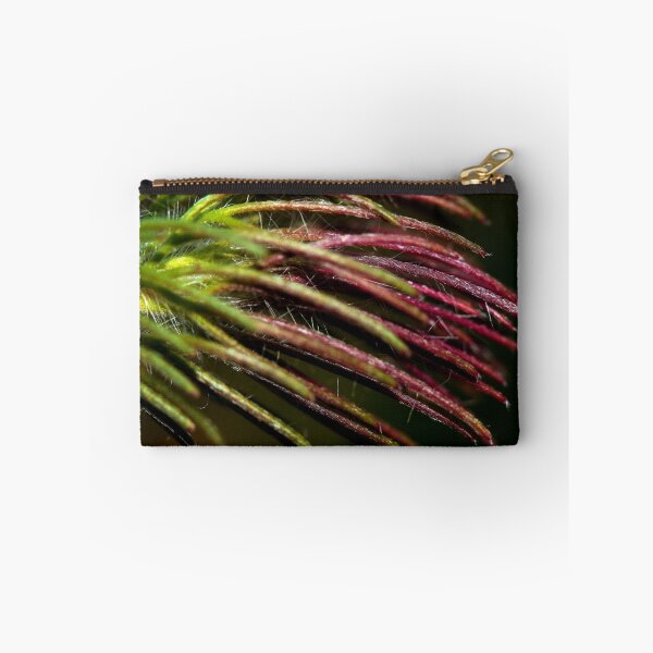 Item preview, Calothamnus accedens  designed and sold by andrachne.