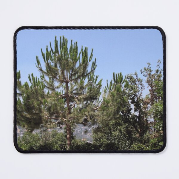 Item preview, One Pine Tree designed and sold by eleven3Oone.