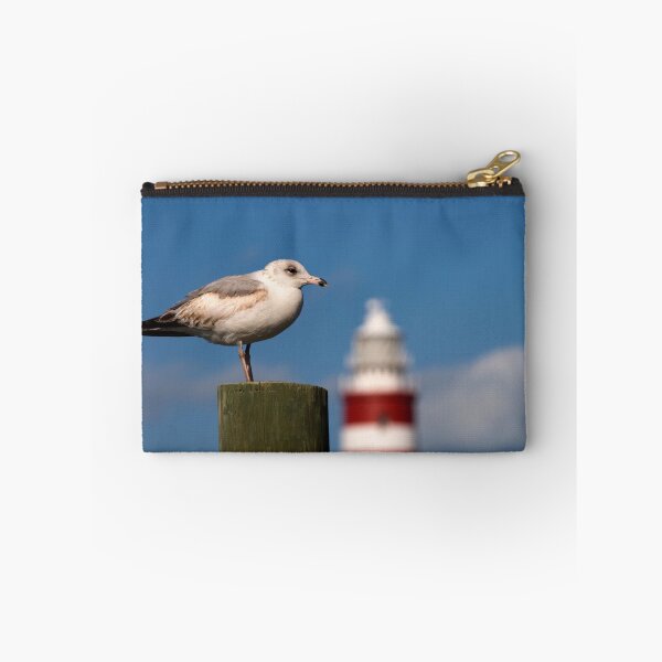 Item preview, Seagull, Hope Town Lighthouse, Abaco, Bahamas designed and sold by Shane Pinder.