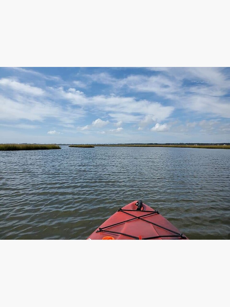 "Assateague" Sticker for Sale by ScenicRebel Redbubble