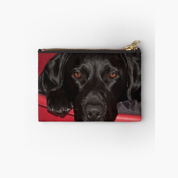 Item preview, Let sleeping dogs lie! designed and sold by Shaun Whiteman.