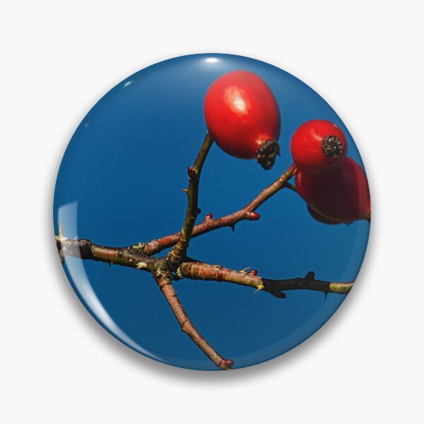 Item preview, Rose hip designed and sold by AlidaArt.