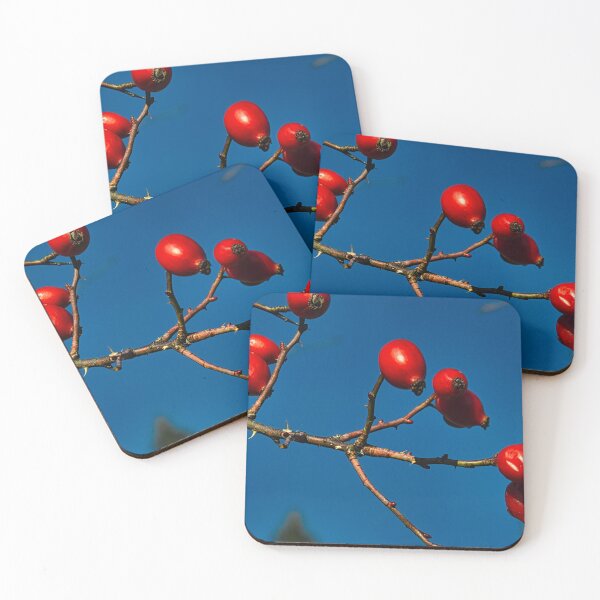 Item preview, Rose hip designed and sold by AlidaArt.