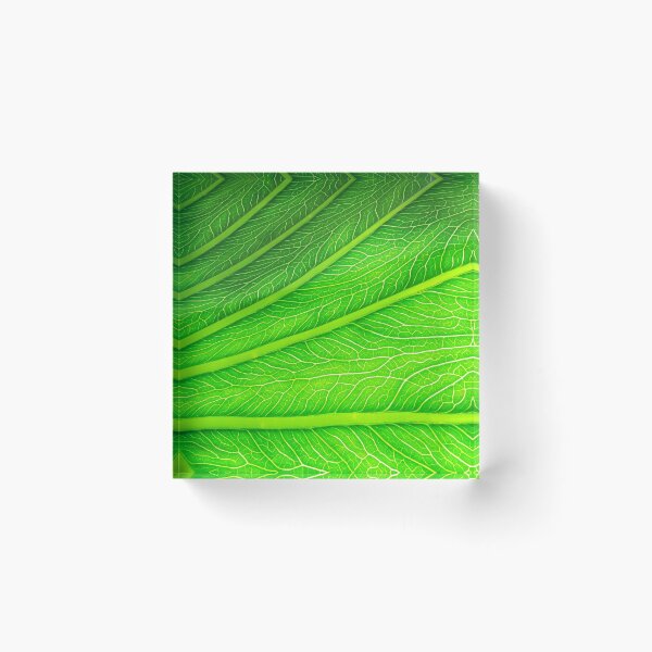 Item preview, Leaf  #0007 designed and sold by Jeffrey Mask.