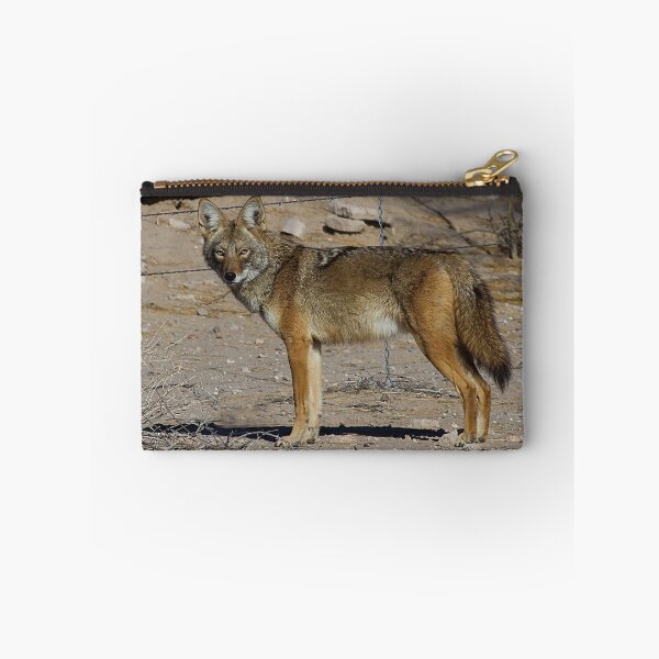 Item preview, 011411 Coyote designed and sold by Marvin Collins.