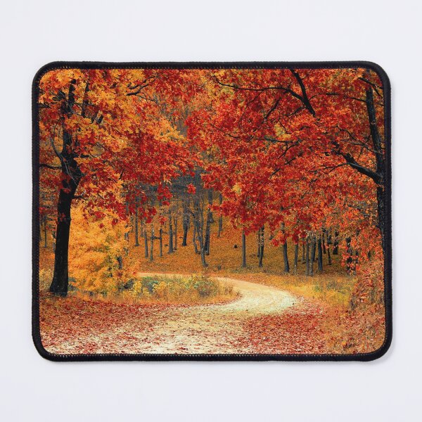 Item preview, Beautiful Autumn Trees in the Forest designed and sold by MEBH.