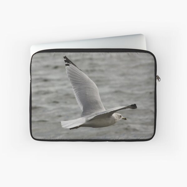 Item preview, Gull in Flight designed and sold by AnnDixon.