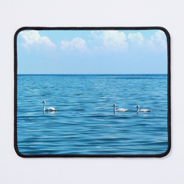 Item preview, Swans on Lake St. Clair, MI designed and sold by Thomas Burtney.