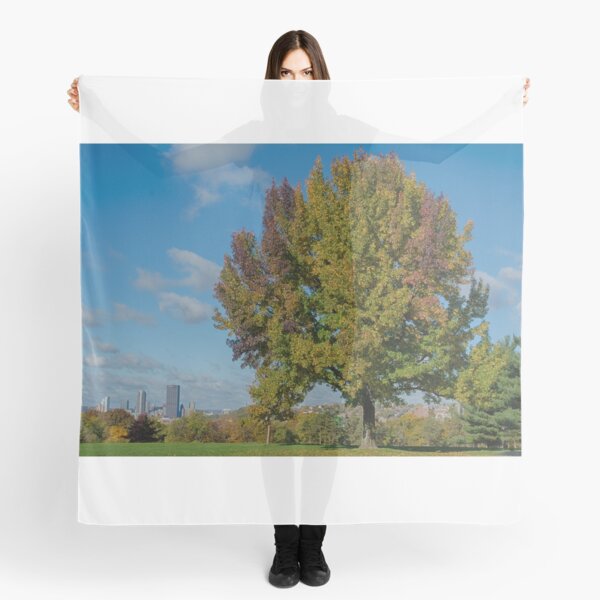 Tree in Schenley Oval Scarf