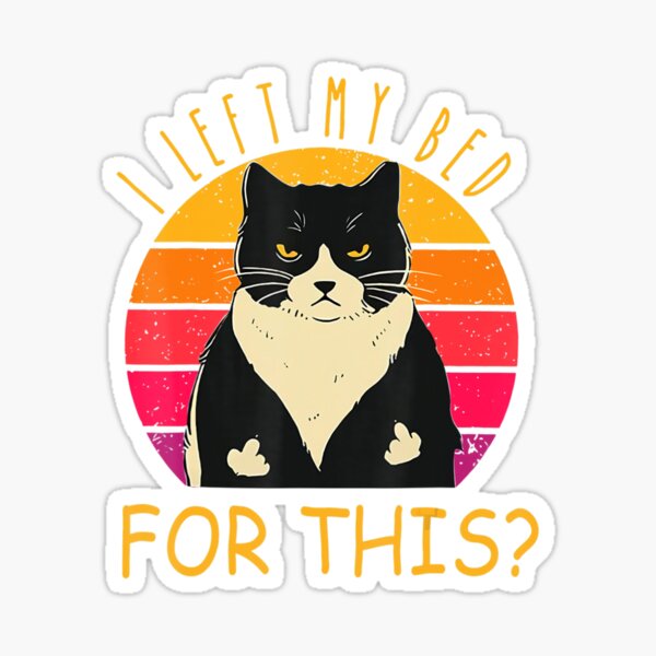 Funny Vintage Black Cat I Left My Bed For This Sticker