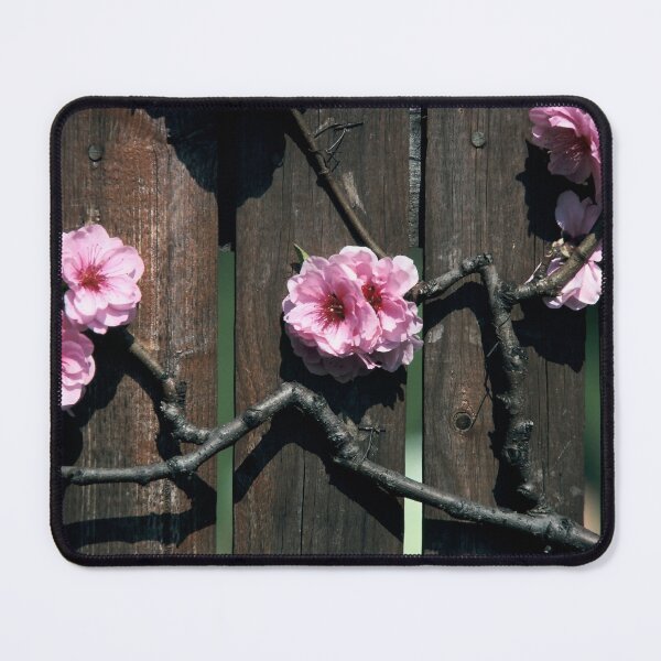 Item preview, Cherry Blossoms Fence designed and sold by Jeffrey Mask.