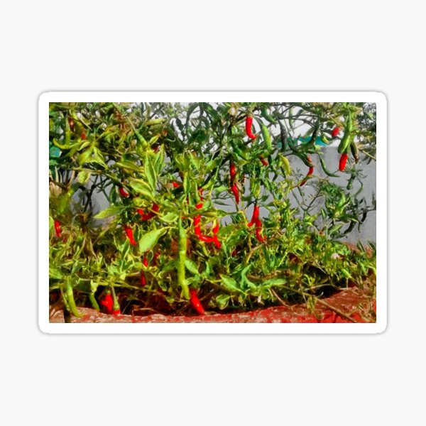 Item preview, Really hot designed and sold by ashishagarwal74.