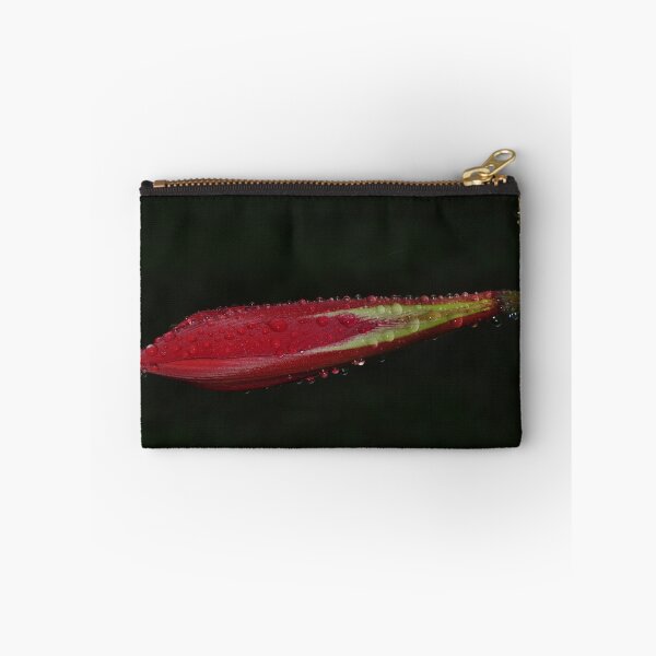 Aperçu de l'œuvre Hippeastrum Flower Bud créée et vendue par Lyle McNamara.