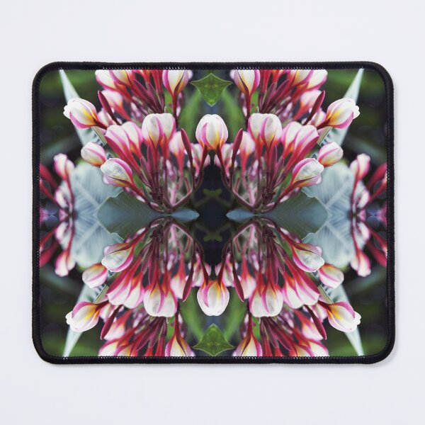Item preview, Pink White Plumeria Blossoms Bouquet Kaleidoscope Collage designed and sold by MOP-tees.