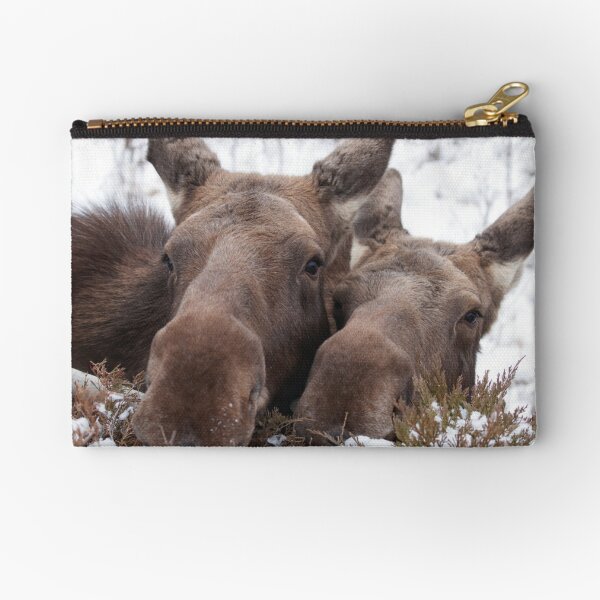 Item preview, Christmas Moose designed and sold by Scott Engel.
