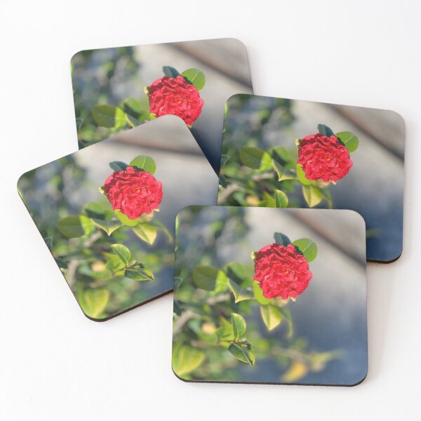 Item preview, Flowers designed and sold by HeJS.