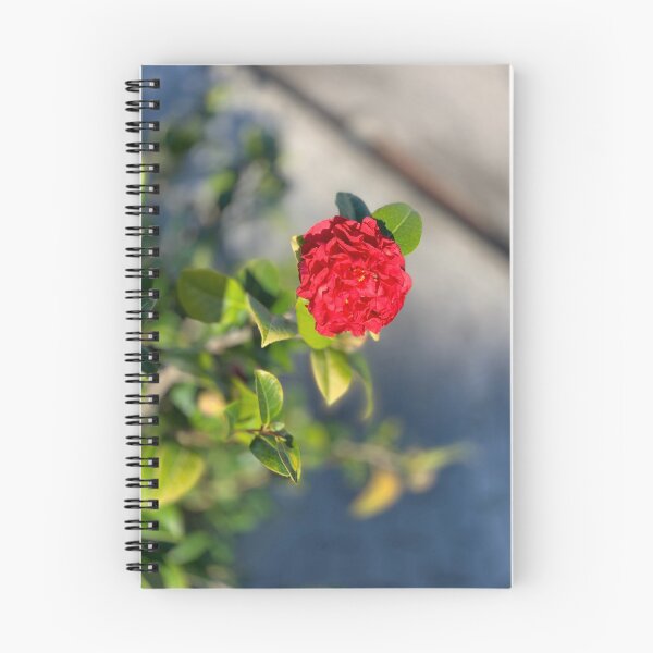 Item preview, Flowers designed and sold by HeJS.