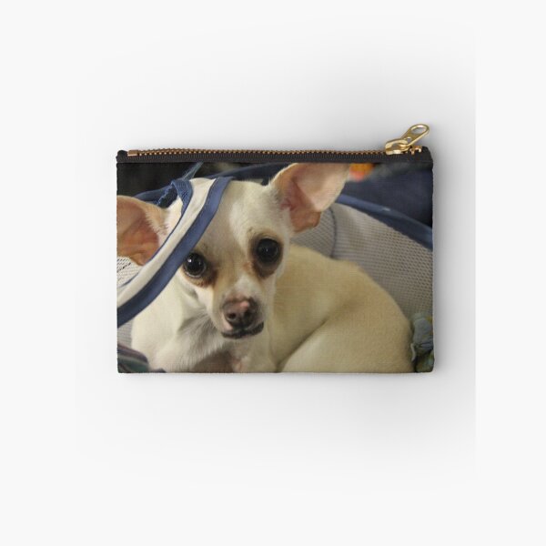 Item preview, Chihuahua and the Laundry Safety Message designed and sold by Corri Gryting Gutzman.