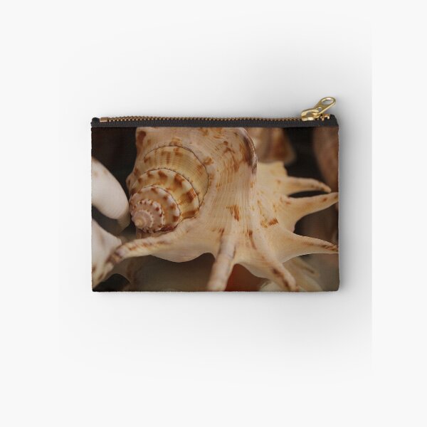 Item preview, Shells Shells Shells designed and sold by Amy Dee.