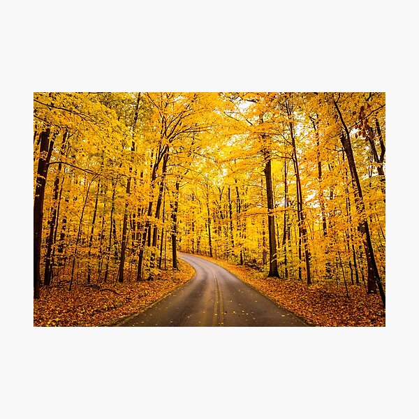 Item preview, Yellow Road of Fall designed and sold by HoellerPhoto.