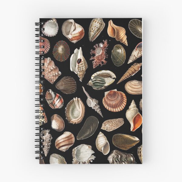 Item preview, Shell collection designed and sold by PoeticGear.