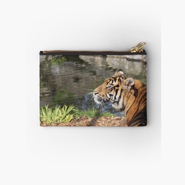 Item preview.
