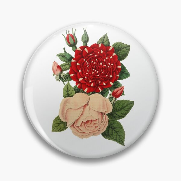 Item preview, Red and white roses 1853 designed and sold by BelleZeare.