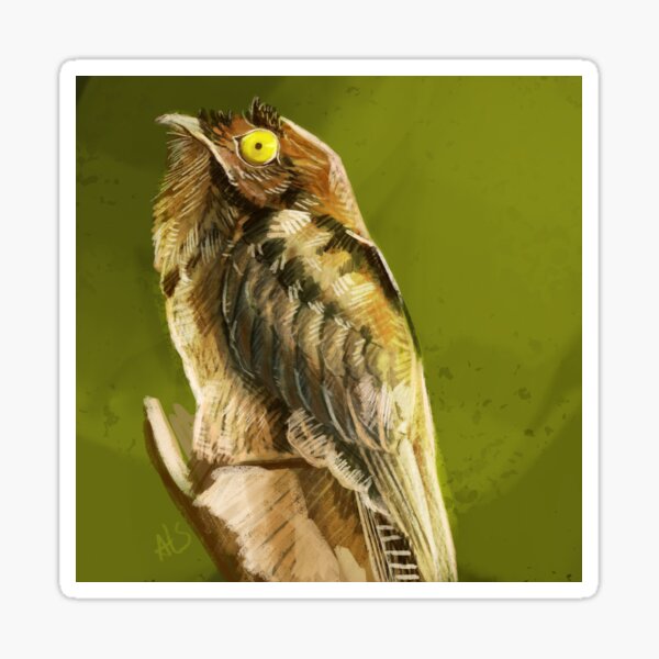 Item preview, The Potoo designed and sold by triruntu.