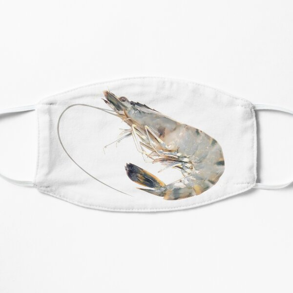 White shrimp isolated on white background Flat Mask