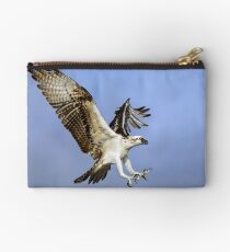 Osprey (Pandion haliaetus) Studio Pouch
