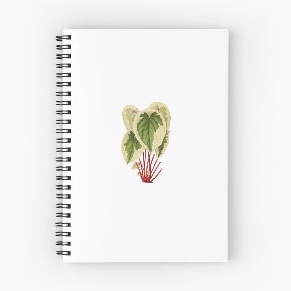 Item preview, Peperomia Plant 1869 designed and sold by BelleZeare.