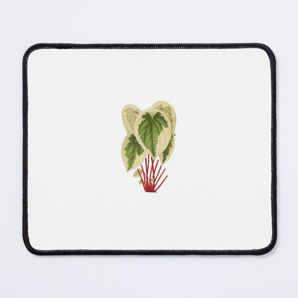 Item preview, Peperomia Plant 1869 designed and sold by BelleZeare.